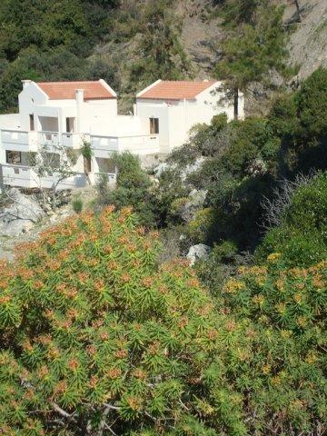 Apartament Ravdoucha