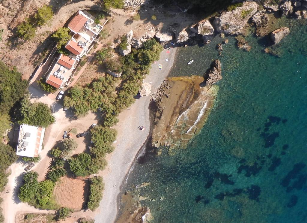 Ravdoucha Daire