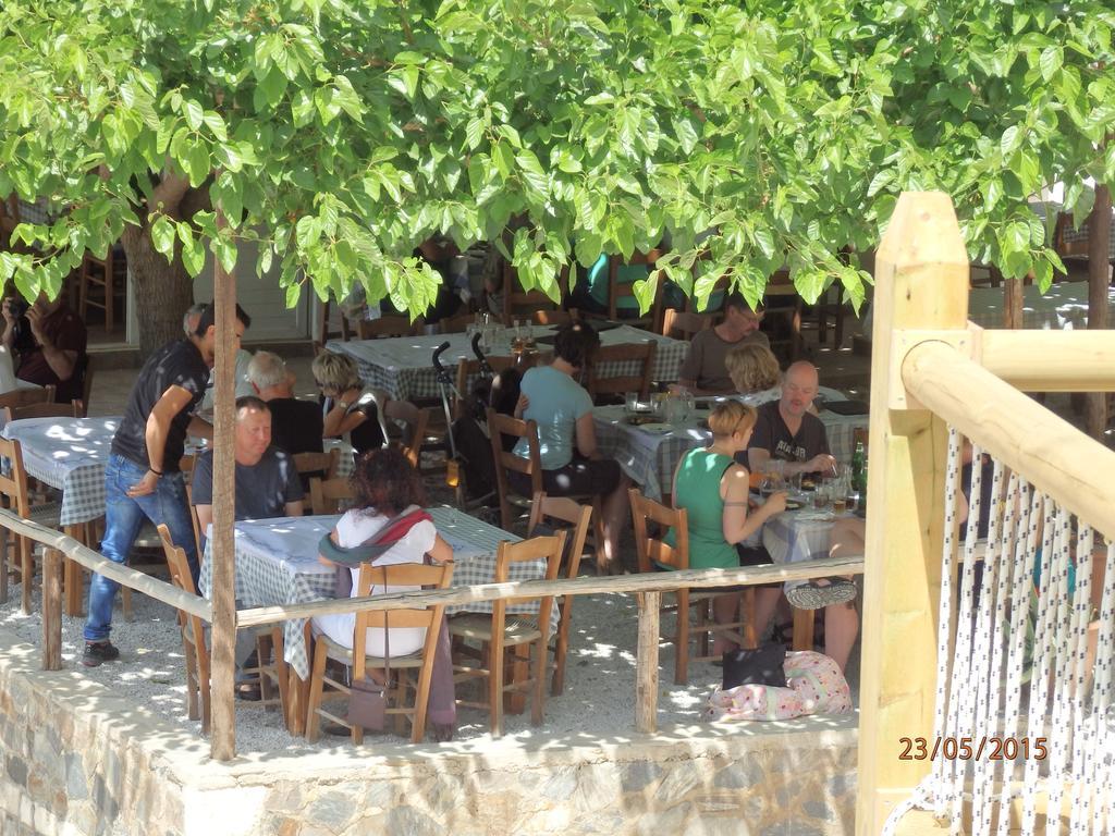 Ravdoucha Daire